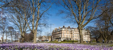 View of Harrogate